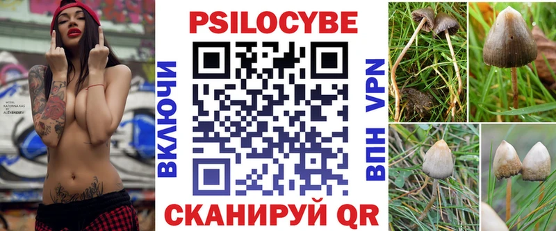 Галлюциногенные грибы Psilocybe  KRAKEN ТОР  Никольск 